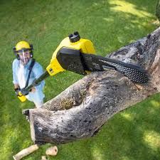 Best Lawn Irrigation Installation and Maintenance  in Rouse, CA